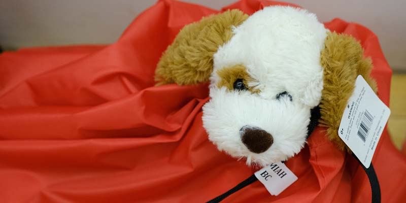 Stuffed dog in red bag.