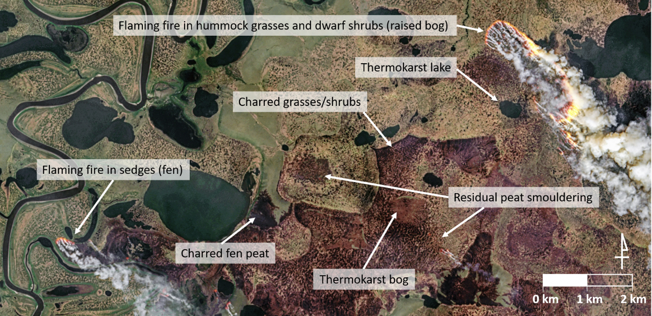 A number of fires in Sakha Republic, Russia, from June 25, 2020, typical across tundra ecosystems in June. Fire activity suggests direct relationships between burning and permafrost thaw in this region of cold but ice-rich permafrost (McCarty et.al.).