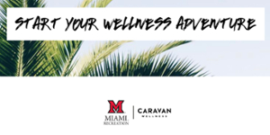 palm leaves and the message "Start your wellness adventure"