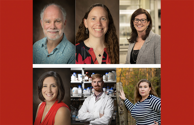 University Faculty Scholars, top row, left to right: John Jeep, Rose Marie Ward and Ellen Yezierski. University Junior Faculty Scholars, bottom row, left to right:  Carolyn Hardin, Andrew Jones and Jessica McCarty.