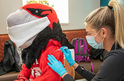 Mask-wearing Swoop, Miami's mascot, gets a vaccination.
