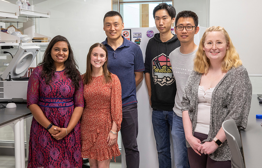 Xin Wang, assistant professor of microbiology, and his lab group. Left to right: Shrameeta Shinde, doctoral student; Danielle Wilcox, senior public health major and premedical studies co-major; Wang; Steve Yu, senior microbiology major; doctoral student Shaun Jiang; and master's student Malory Wolfe.
