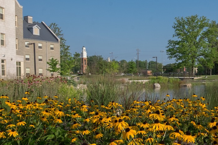 Western Campus flowers and pond