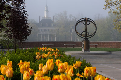 Tulips, the Globe, and MacCracken