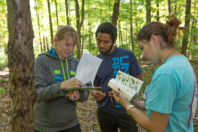 Ecology students comparing notes in a forest during a class outing