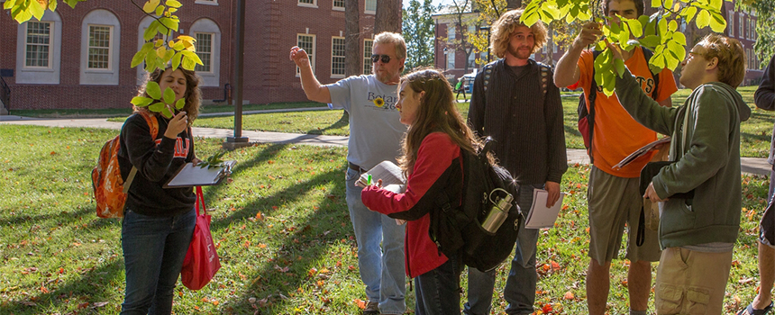 A botany professor and students examine trees on campus