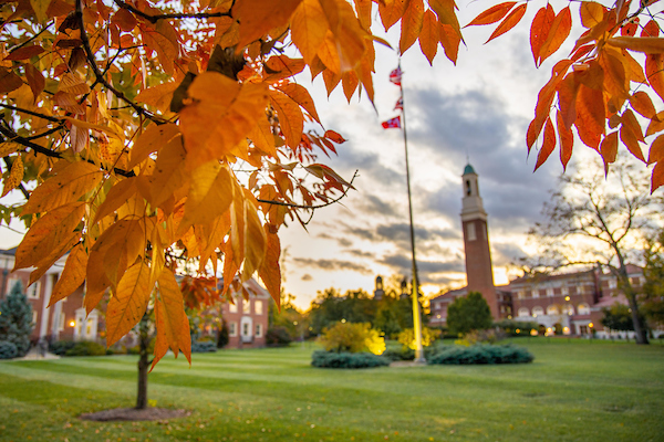 Beta Bells in the fall