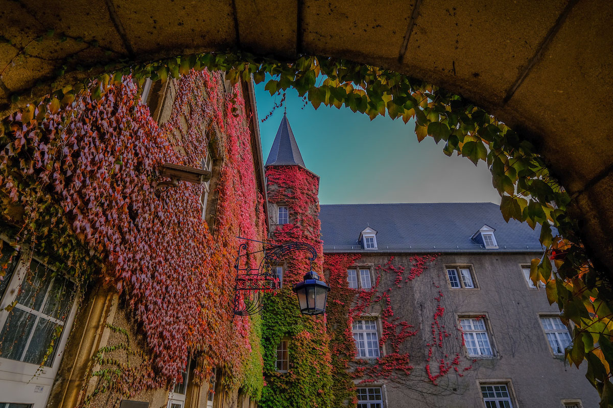 Green and red ivy covering a building in Luxembourg