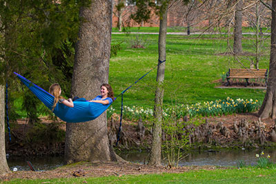 Miami University students in hammock at Dogwood Park