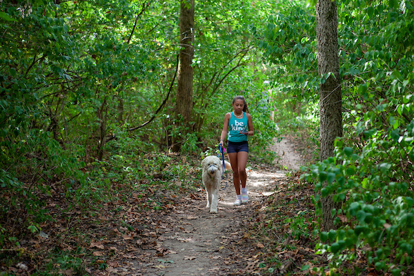 student walking a dog on a hiking trail