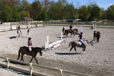 Miami Equestrian Center with horses.