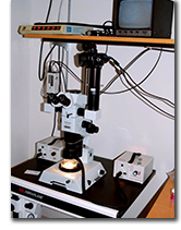 photo of Olympus SZX-12 Stereoscope System