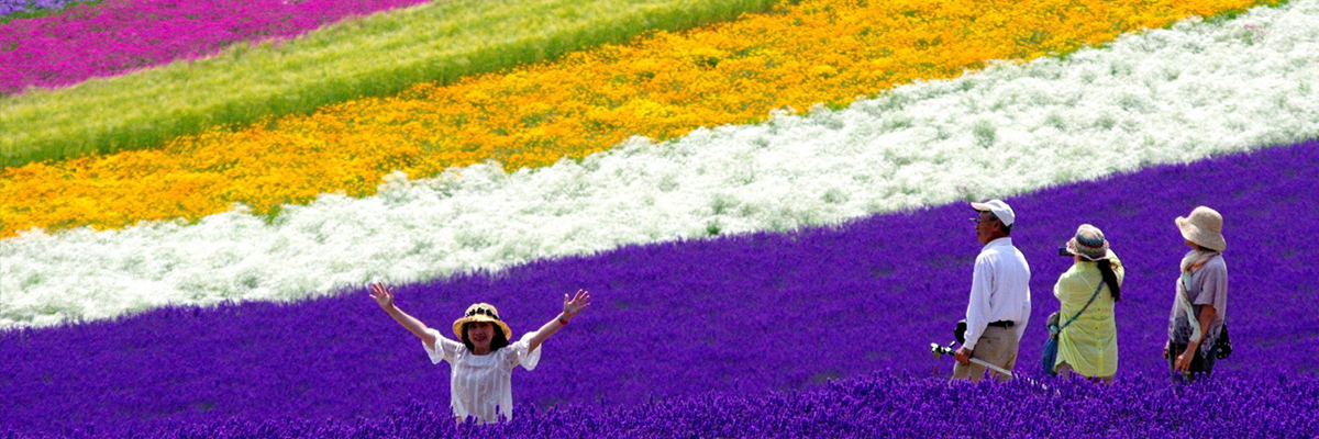 Hokkaido Flower Fields