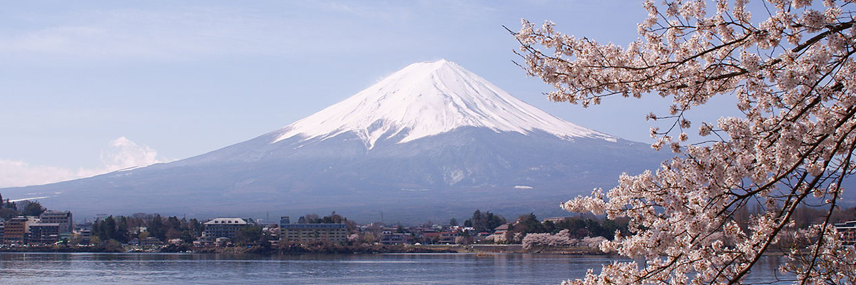  Mount Fuji with Cherry Blossems