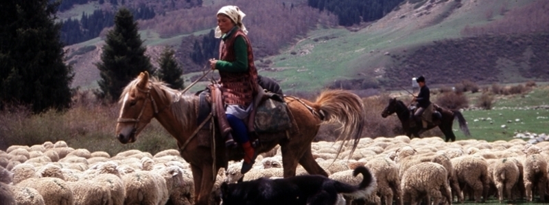  Woman riding a horse. 
