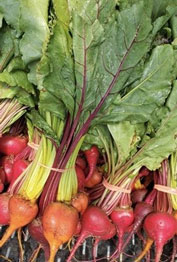 photo of a bunch of beets