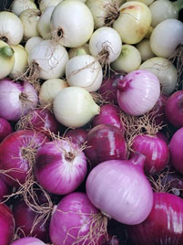 photo of red and white onions