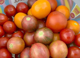 photo of tomatoes