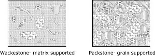 diagrammatic sketches showing wackestone (matrix supported) and packstone (grain supported)