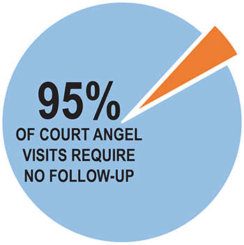 Pie chart indicating that 95% of court angel visits require no follow-up