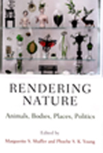 Rendering Nature cover