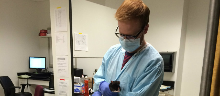 Student in lab with rat