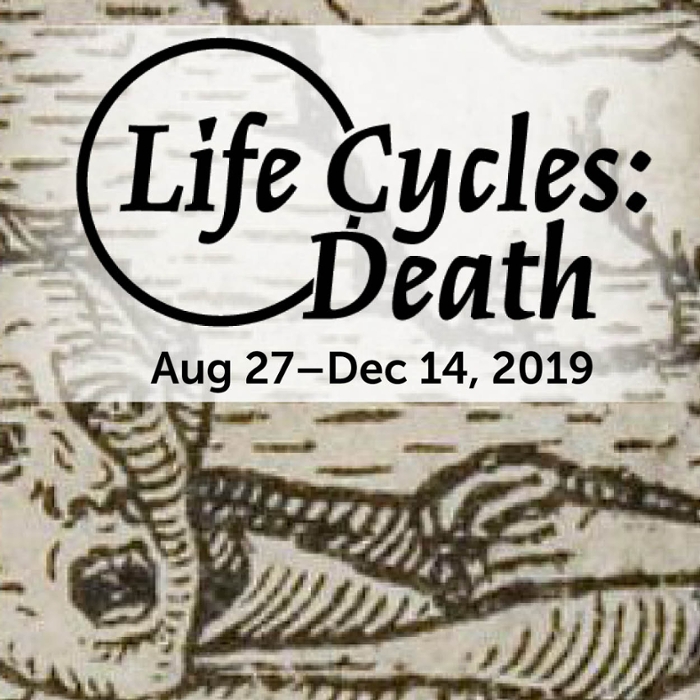 Lifecycles: Death