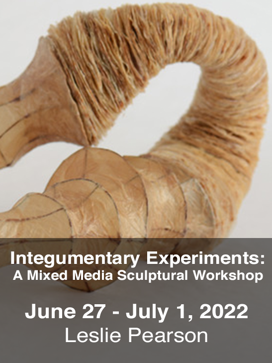Integumentary Experiments, a mixed media sculptural workshop