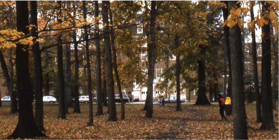 Hughes Hall as seen through the trees of Bishop Woods