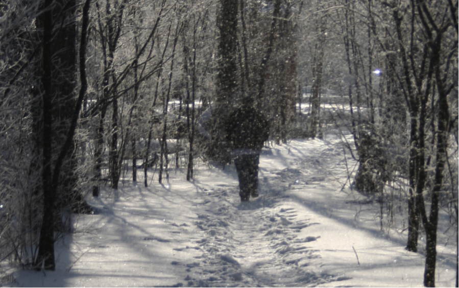 Student walking on snowy path through the woods