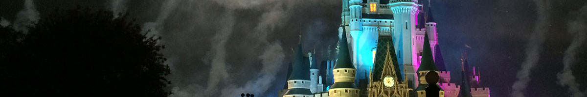 cinderella castle at night