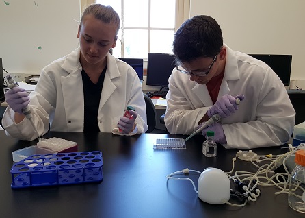 Male and female student wearing PPE handling liquids in the lab