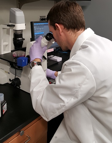 Dr. Justin Saul looks into a microscope