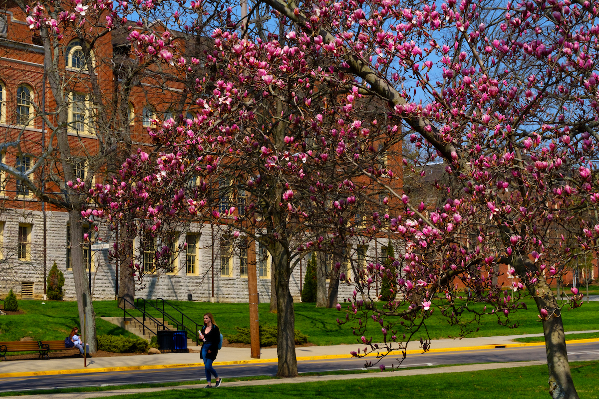 McGuffey Hall in the spring