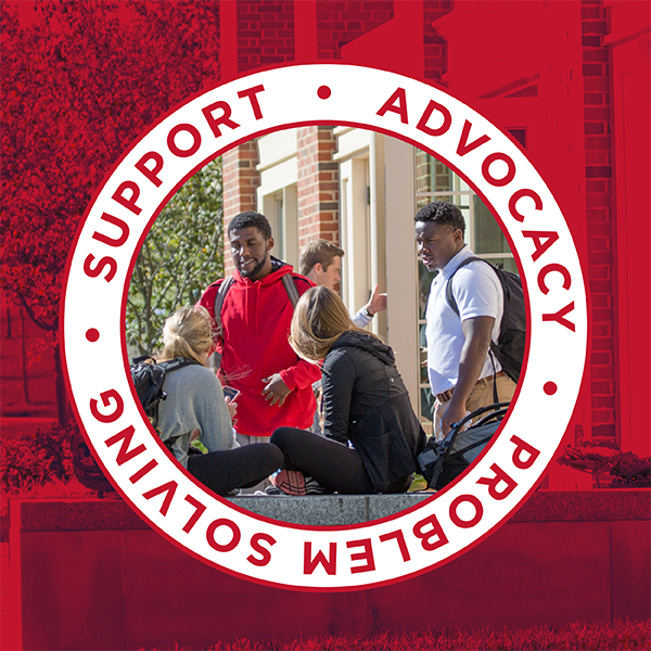 Support-Advocacy-Problem Solving