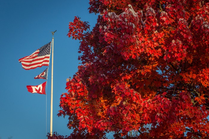 American, Ohio and Miami flag in front of red tree