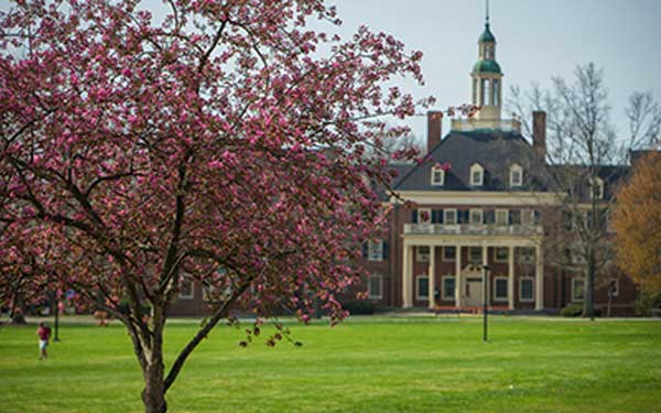 blossoming tree with the exterior entrance of Roudebush Hall in the distance