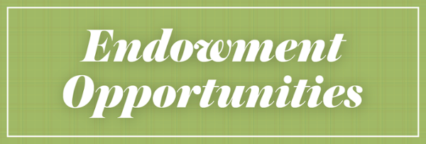 Endowment Opportunities