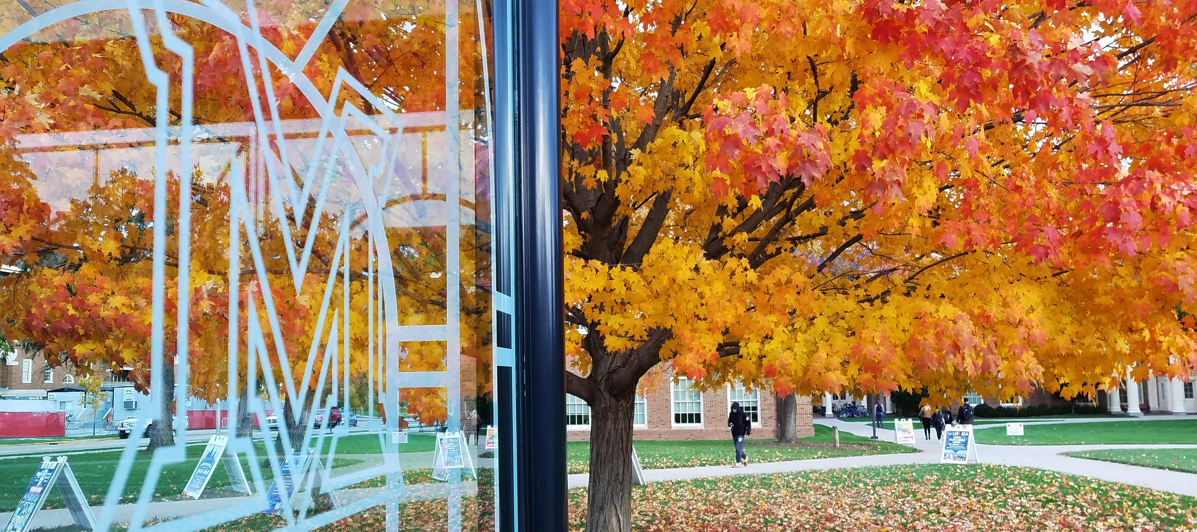  Fall view of Farmer School and trees