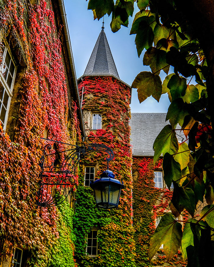 The Luxembourg campus chateau covered with red leafy vines on a sunny day