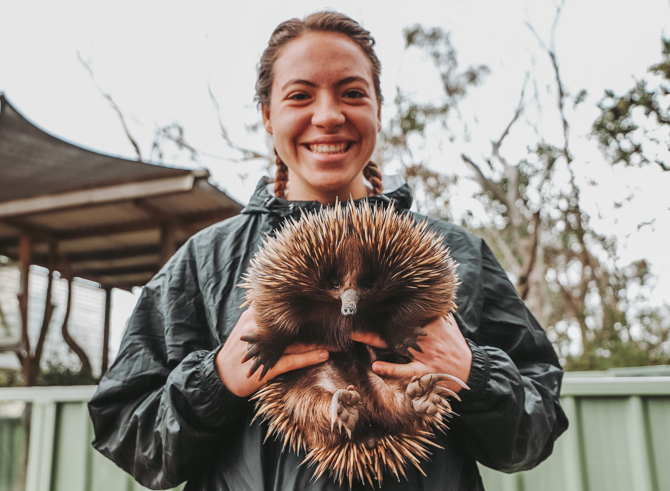 Smiling, Evelyn holds an echidna and faces the camera