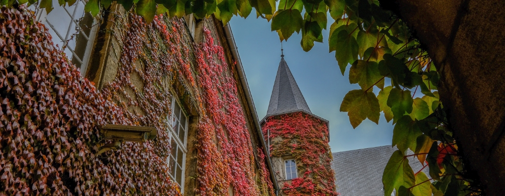 Tight angle of greenery and red leaves around chateau