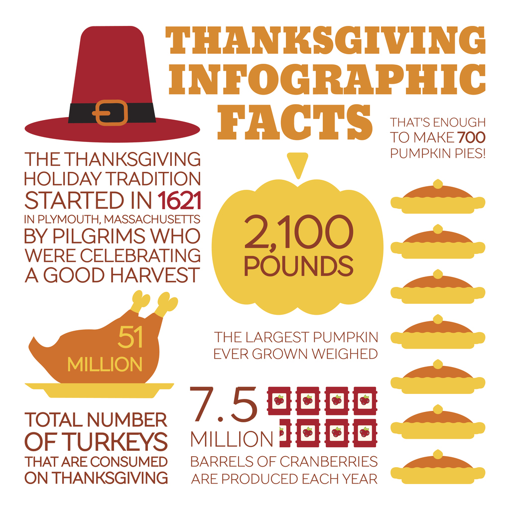 Thanksgiving Infographic Facts. The Thanksgiving holiday tradition started in 1621 in Plymouth, Massachusetts by Pilgrims who were celebrating a good Harvest. 51 Million: total number of turkeys that are consumed on Thanksgiving. 2100 pounds: the largest pumpkin ever grown weighed. That's enough to make 700 pumpkin pies! 7.5 million barrels of cranberries are produced each year. 