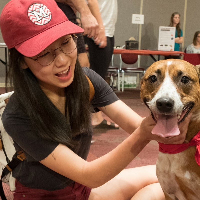 Miami student with therapy dog