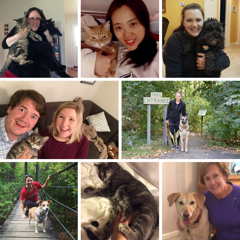Miami University Global Initiatives sctaff with pets, photo collage