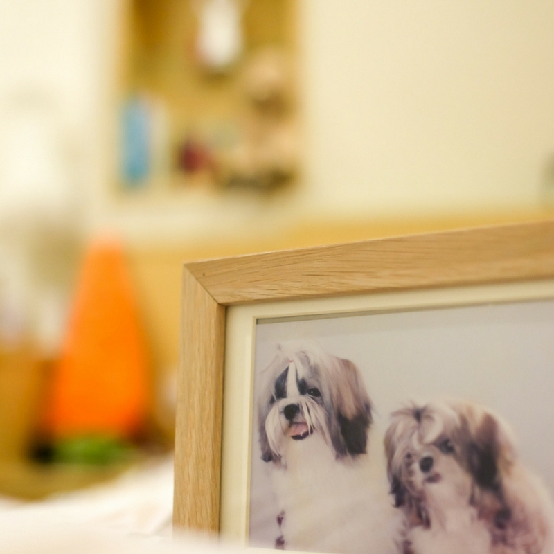 picture frame of dogs on desk