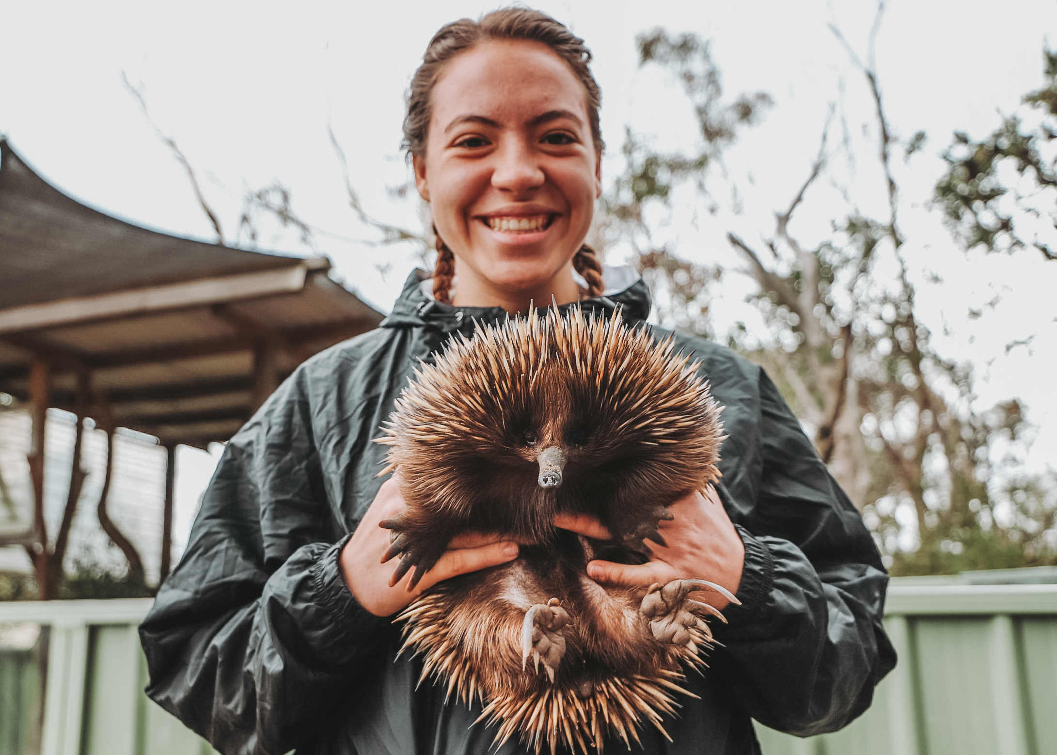 Evelyn holds an echidna