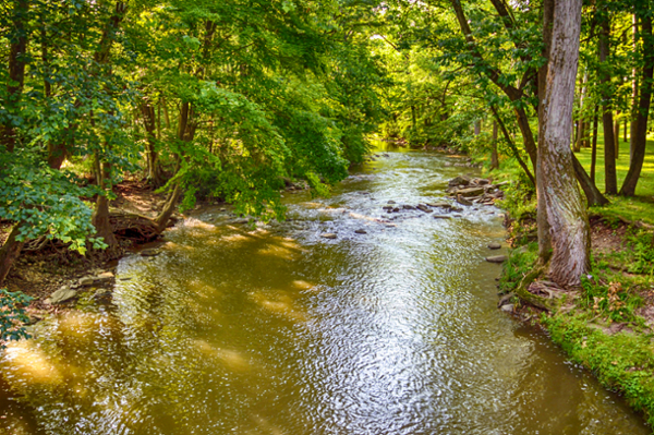 A stream in Ohio