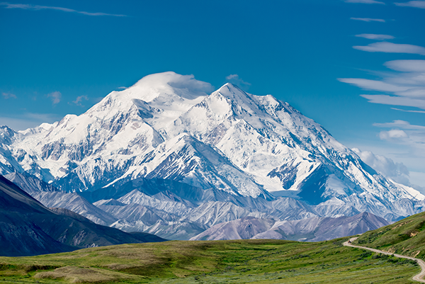 View of snow capped Denali surrounded by green meadows