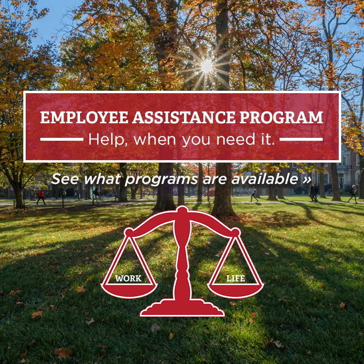 Employee Assistance Program, Help when you need it, See what is available